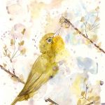 Bird art prints
