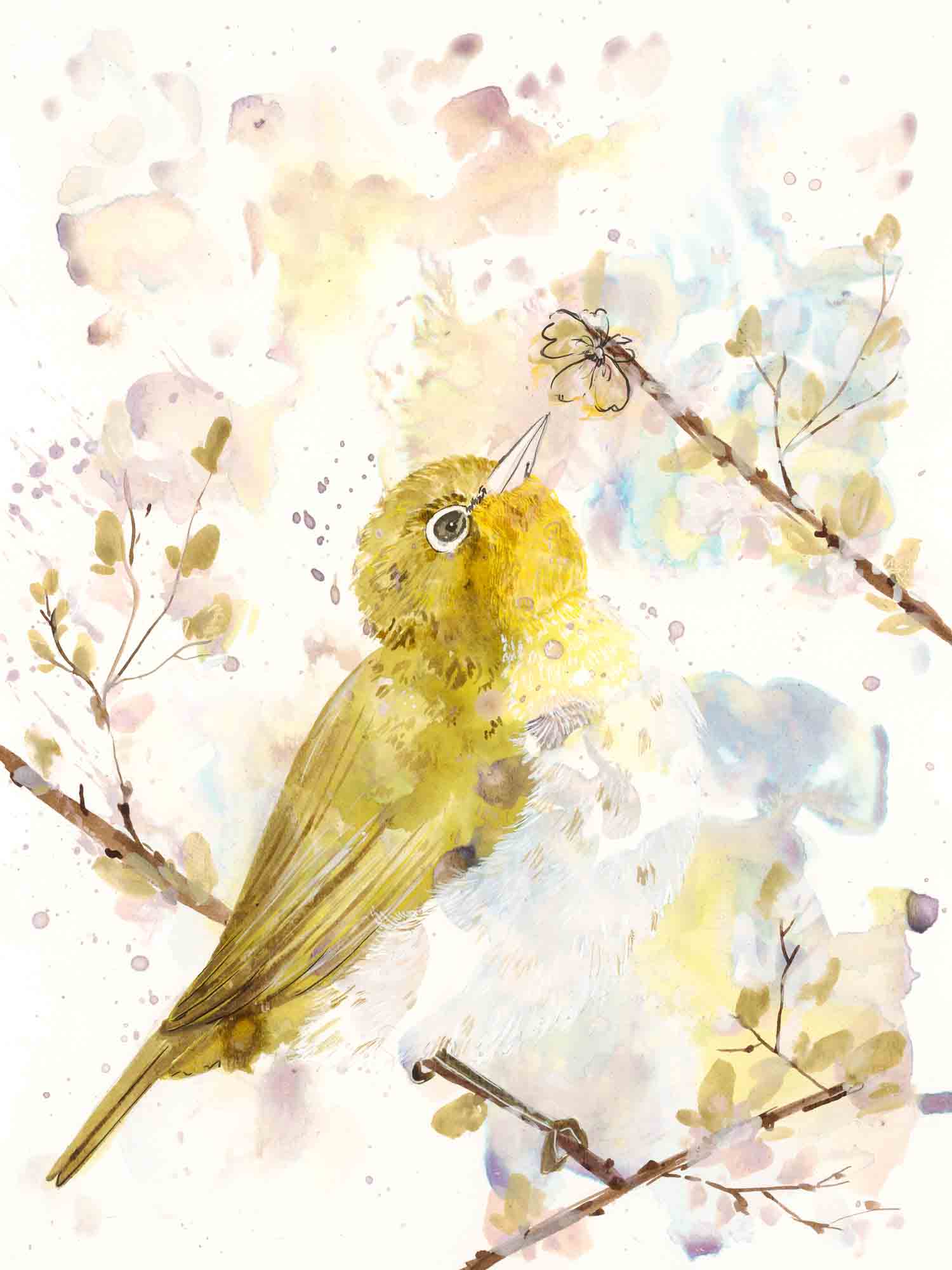 Bird art prints